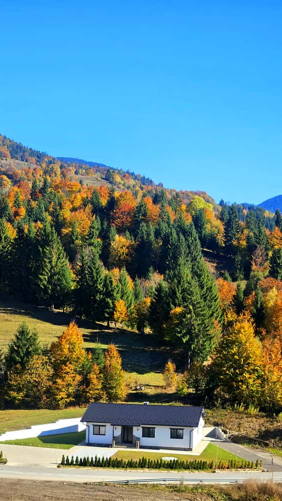 Exteriorul casei văzut din curte